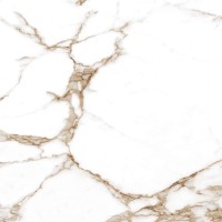 Tajmahal Shine 60 Satin 600x600