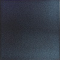 Talavera Negro 30*30