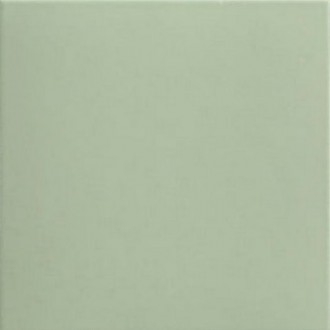 Technical Basil 20x20