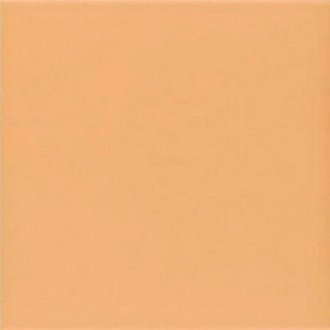 Technical Tangerine 20х20