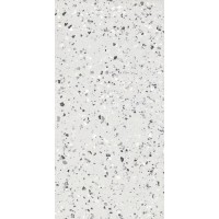 Terrazzo Plus Silver Mat 60x120