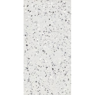 Terrazzo Plus Silver Mat 60x120