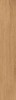 Timber Gold 19.8x120