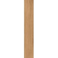 Timber Gold 19.8x120