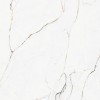 Torano Dorado Polished Rec 60x60