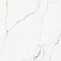 Torano Dorado Polished Rec 60x60