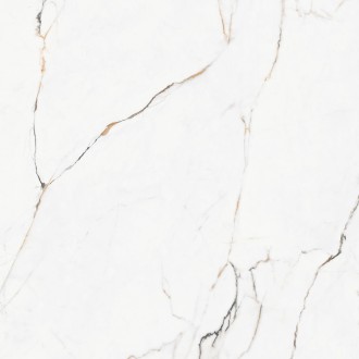 Torano Dorado Polished Rec 60x60