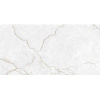 Torso Gold Полированный 60х120