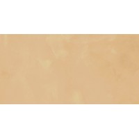 Touch Evo Gold Rett 60x120