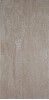 Trevi Beige C 25X50