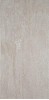Trevi Beige J 25X50