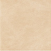 Trilogia Regent Beige RETT 47.5x47.5