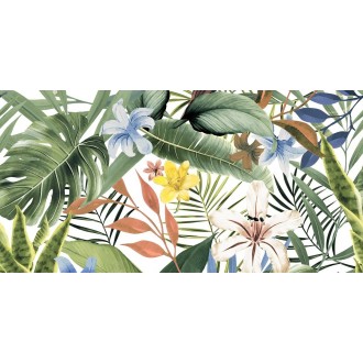 Tropical A Gem 60х120
