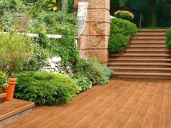 Tropical Forest Natucer