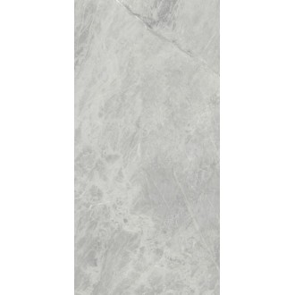 UM6S300498 Gris De Savoie Soft 150x300