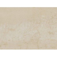 V12900221 Shine Titano 33,3x44,6