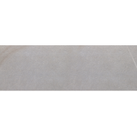 V14402781 Dayton Ash 33,3x100