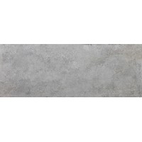 V30800541 Ontario Silver 45x120