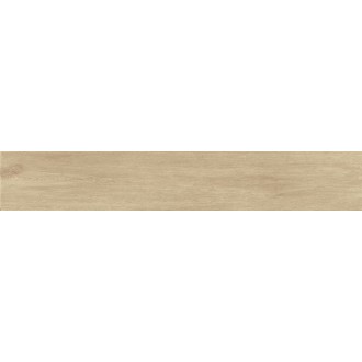 V52500041 Nebraska Tea 25x150