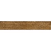 V59200501 Alaska Natural 19.3x120