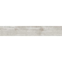 V59201281 Houston Ash 19,3x120