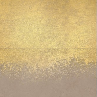 VIS6 DK 120TP 120x120