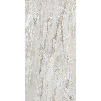 VN612NTT9602P Venice 60x120