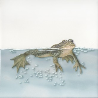 VT/A472/5009 Декор Чудо-озеро 5 20x20