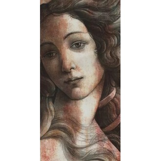 VT/A563/SG5918R Керамогранит Ковер Венера матовый 119,5х238,5