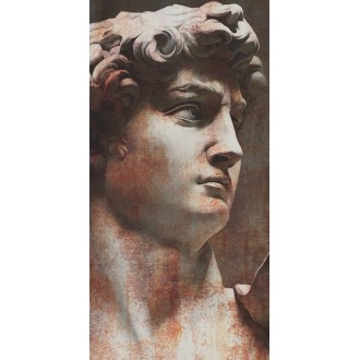 VT/A564/SG591820R Керамогранит Ковер Давид 1 матовый обрезной 119,5х238,5х0,9