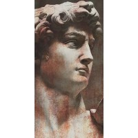 VT/A564/SG5918R Керамогранит Ковер Давид 1 матовый 119,5х238,5