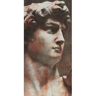 VT/A564/SG5918R Керамогранит Ковер Давид 1 матовый 119,5х238,5