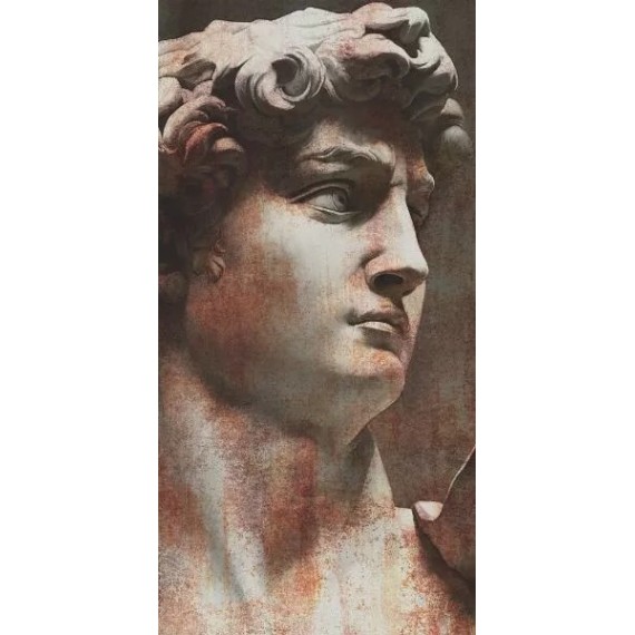 Керамогранит VT/A564/SG5918R Керамогранит Ковер Давид 1 матовый 119,5х238,5