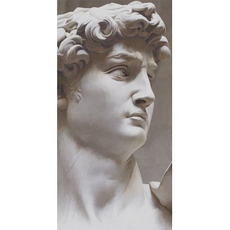 VT/B564/SG591820R Керамогранит Ковер Давид 2 матовый обрезной 119,5х238,5х0,9