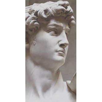 VT/B564/SG5918R Керамогранит Ковер Давид 2 матовый 119,5х238,5