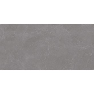 Valencia Grey Matt 60x120
