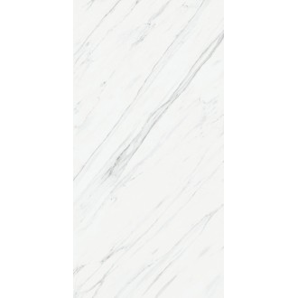 Vanglih Pulido 120x240