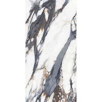 Vary Dark polished 60x120