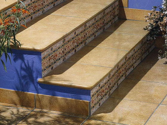 Vega Camel (Exagres)