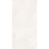 Venice White Matt 60x120
