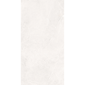 Venice White Matt 60x120