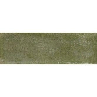 Village Palms 10x30