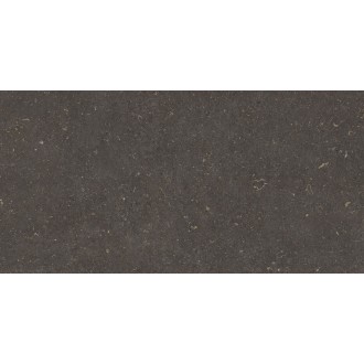 Vincen Anthracite 60x120