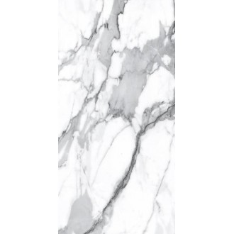 Visage Grey Plus Pol 60x120