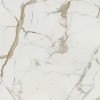 Vision Calacatta Oro 120x120