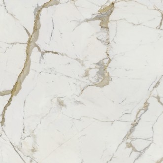 Vision Calacatta Oro 120x120