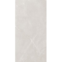 Vitrum Grey полированный 60x120