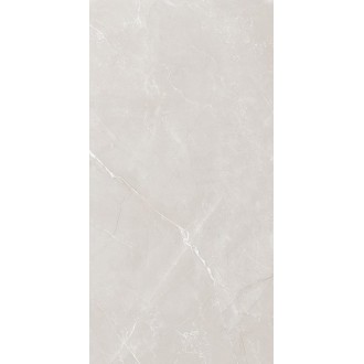 Vitrum Grey полированный 60x120