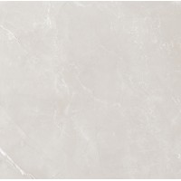 Vitrum Grey полированный 60x60