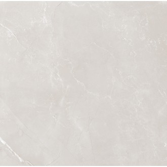 Vitrum Grey полированный 60x60